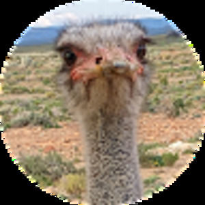 Meet your Posher, Beth